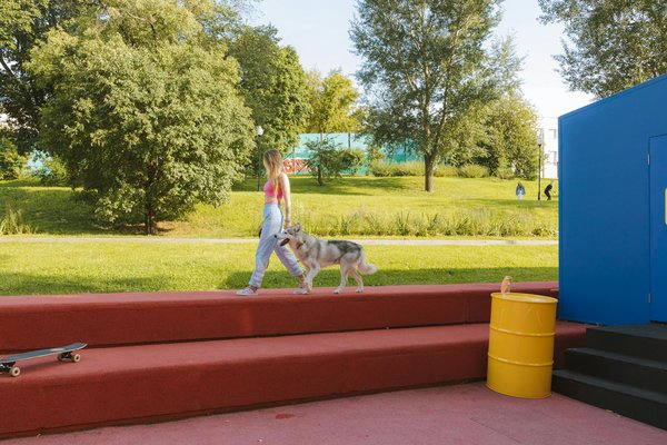 Scopri il Mondo Affascinante dei Felini
